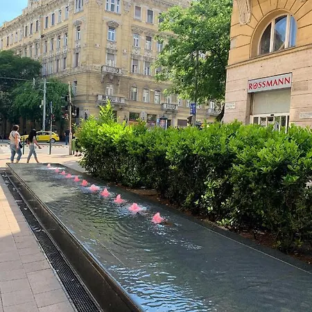 Rainforest By The Danube דירה בודפשט